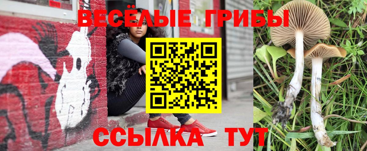 Галлюциногенные грибы прущие грибы Ахтубинск