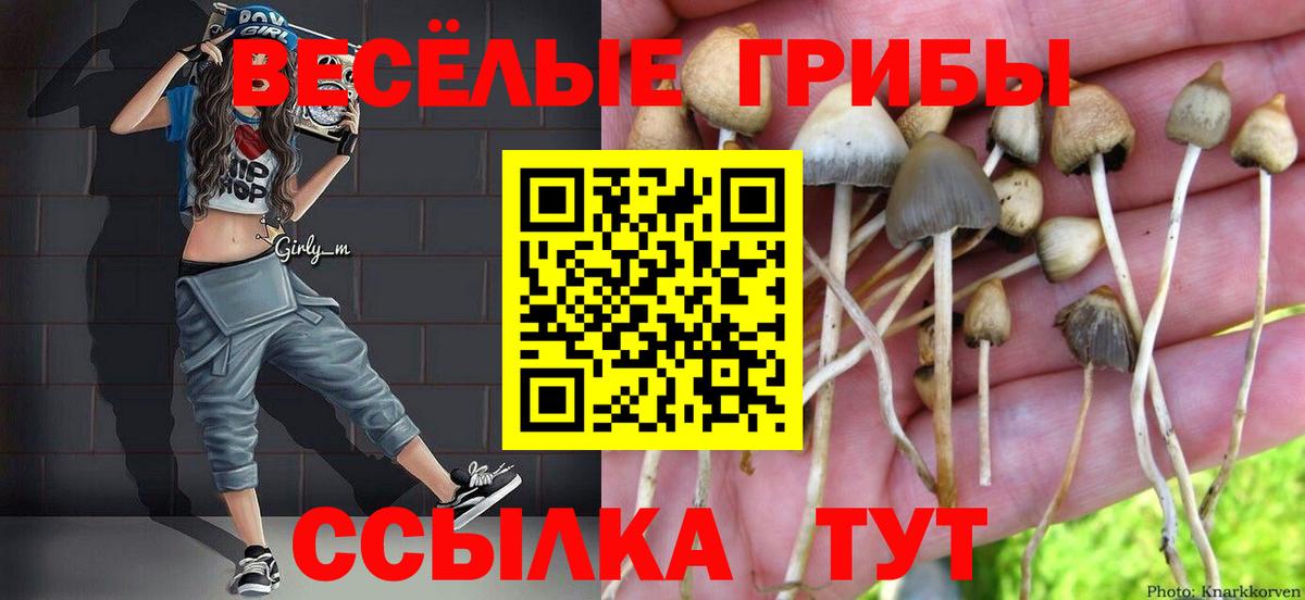 дарнет шоп  Вход с VPN  Псилоцибиновые грибы Psilocybe  Ахтубинск  Галлюциногенные грибы Magic Shrooms 